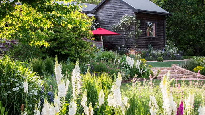 Weatherboard country cottage garden with foxglove flowers and trees.