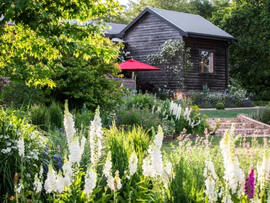 Weatherboard country cottage garden with foxglove flowers and trees.