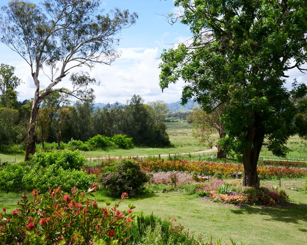 The Lost Flowers of Alice Hart Thornfield Flower Farm