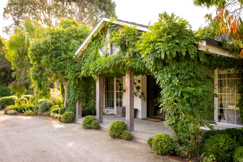 Wisteria-covered cottage awning.