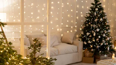 Fairy lights at Christmas