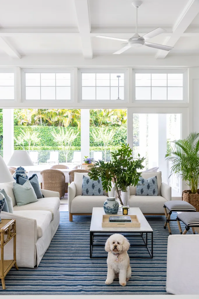 Bright open-plan living room with French doors and fluffy dog.