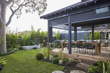 Japandi style backyard with mature eucalyptus tree and large back deck