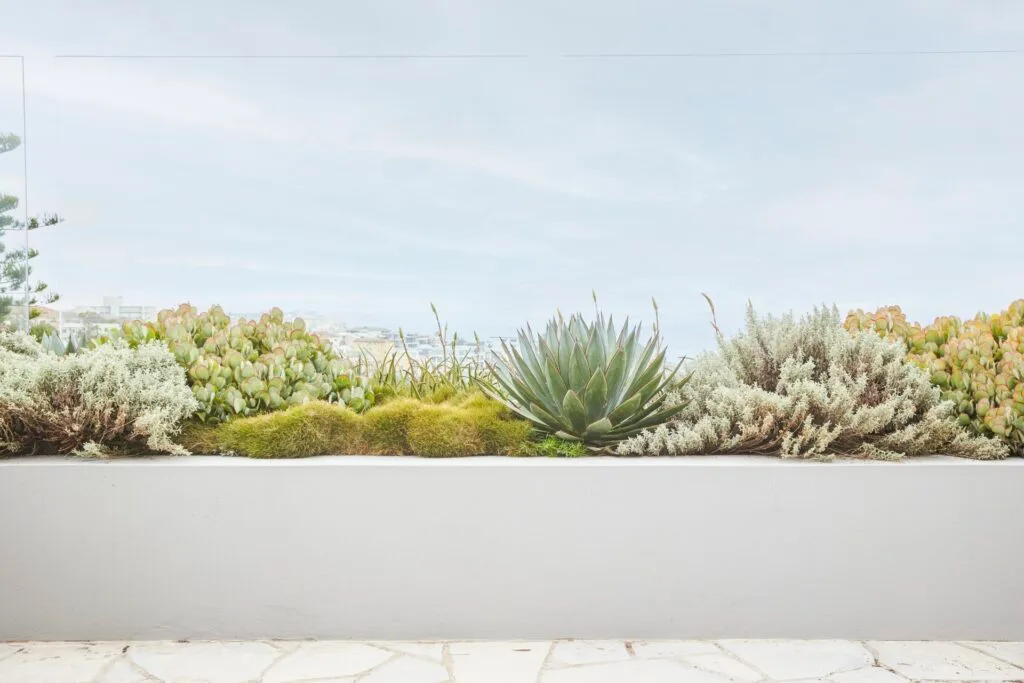 Outdoor stone planter with succulents.