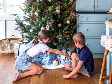Lakeside New Zealand Home Christmas Tree