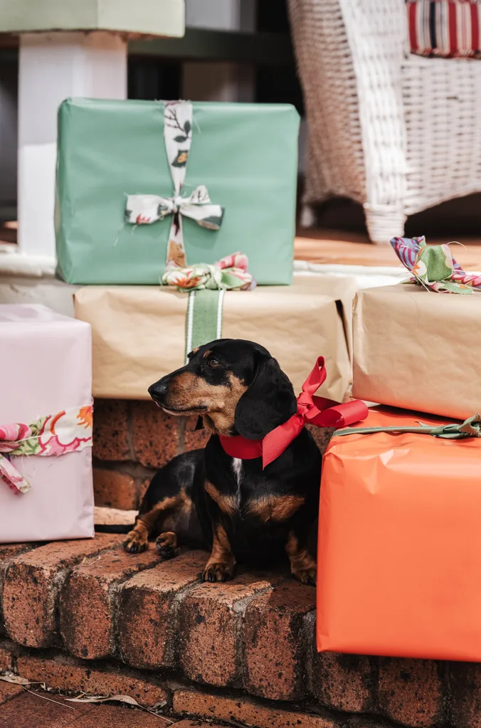 Dachshund with a red bow sitting among colorful wrapped gift boxes on brick steps.