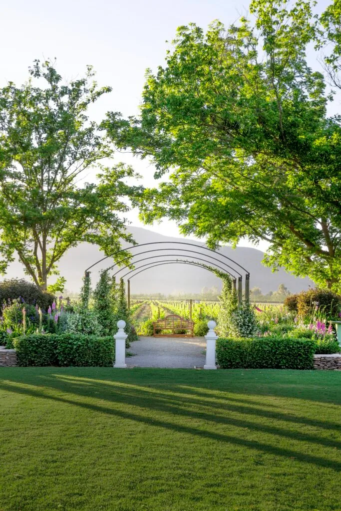 An arbour with views to the vineyards.