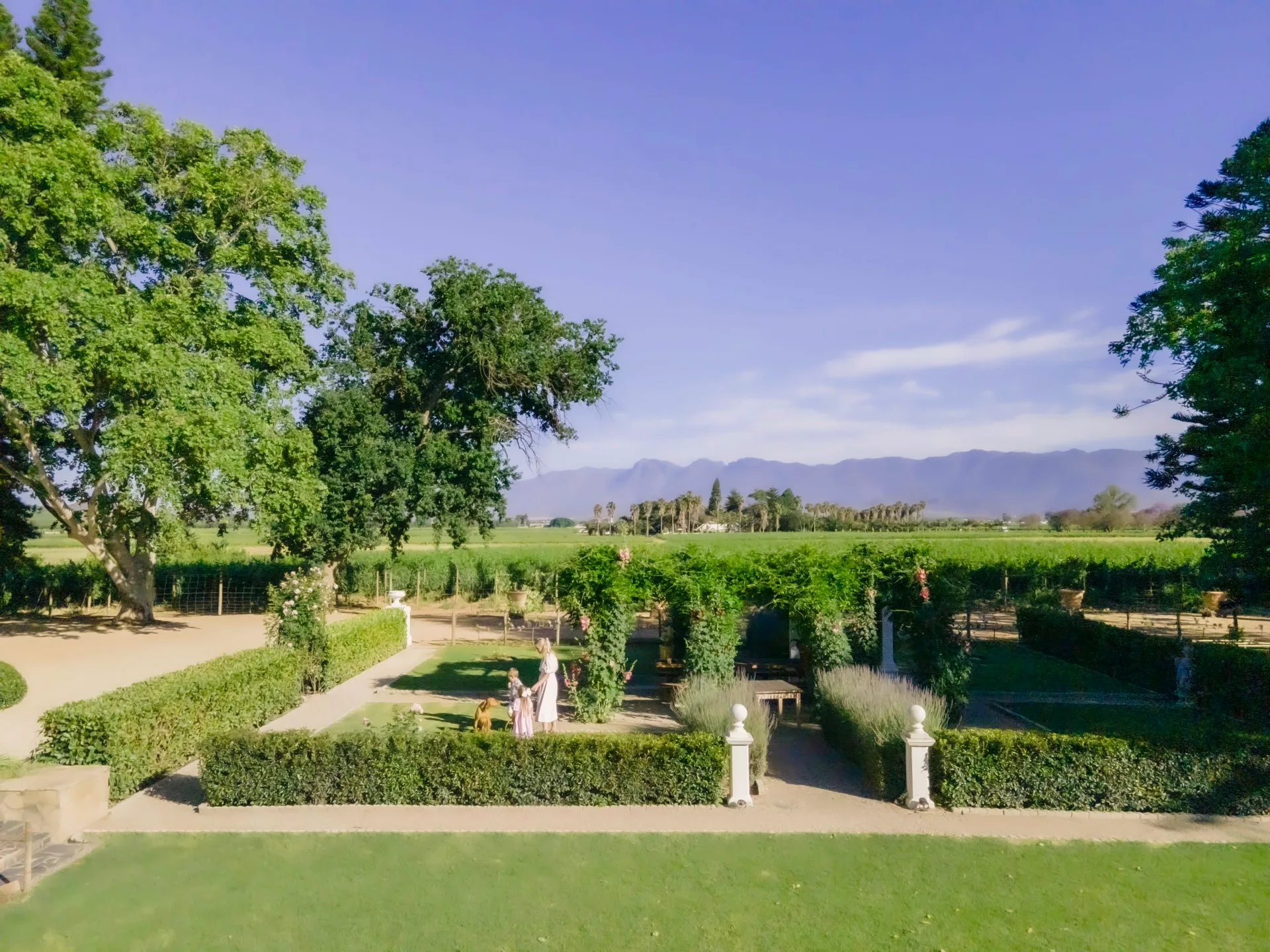 A formal front garden with hedges and views of the vineyards.