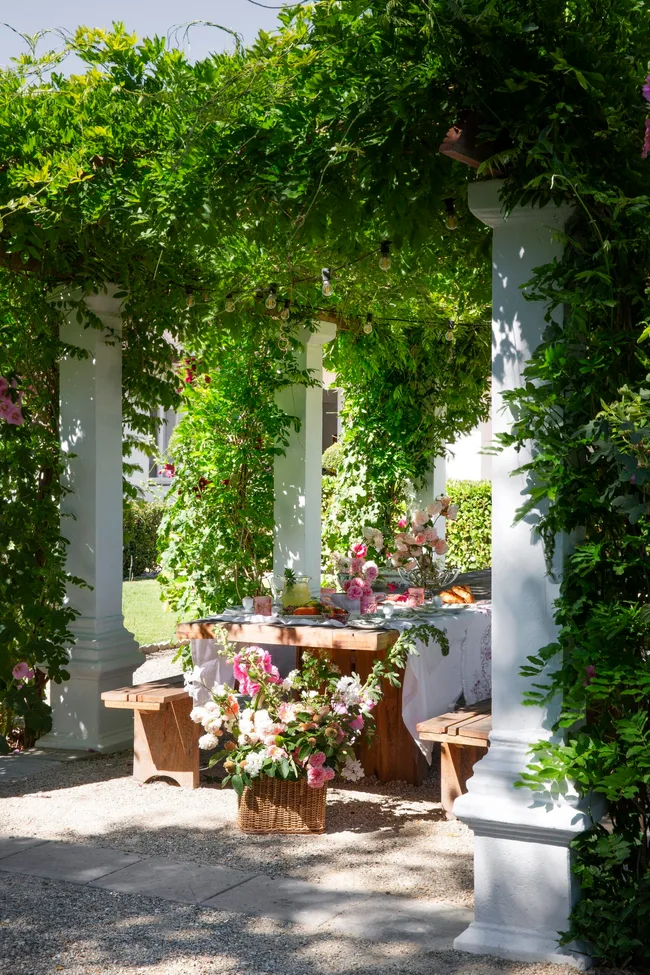 Pink roses in baskets under the wisteria covered pergola.