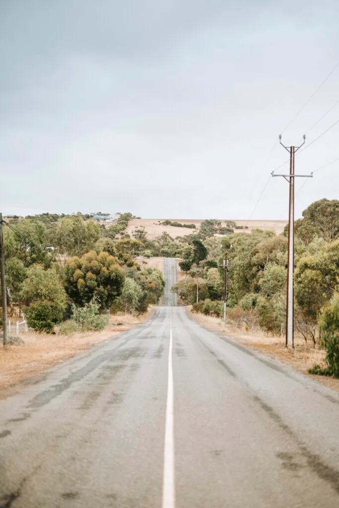 Stretch of road in rural Eyre Peninsula.