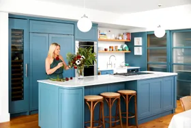 Wendy Moore makes the case for a colourful kitchen