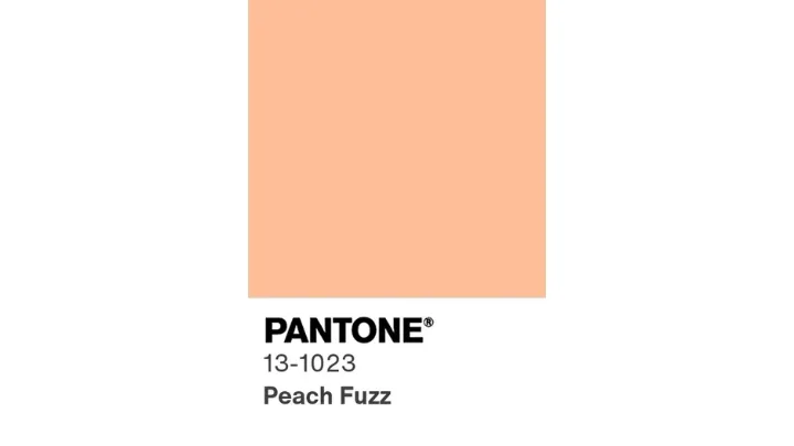 Peach Fuzz Pantone Colour of the Year 2024