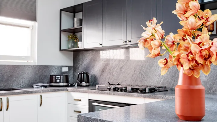 Selling Houses Australia Season15 MAROUBRA kitchen