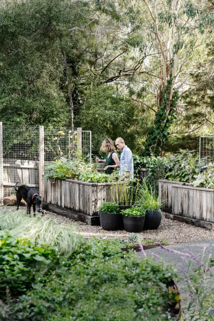 The owners in the edible garden in the backyard.