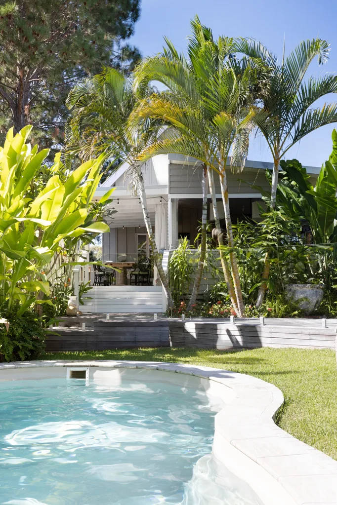 A swimming pool surrounded by palm trees and tropical plants. backyard pool ideas