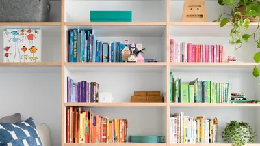 plants on colourful bookshelf