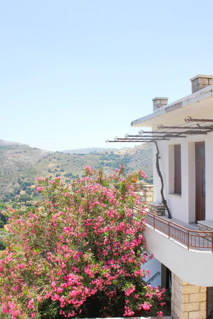 An elevated white building overlooking hills and a pink flowering tree.