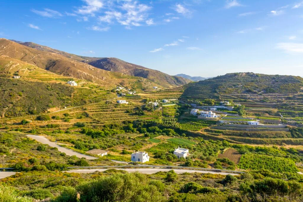 Views of mountains and vineyards in Greece.