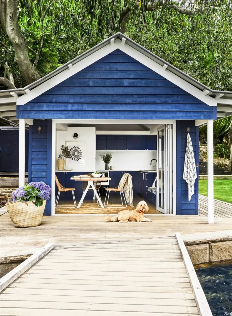 A cavoodle lying outside a blue boatshed.