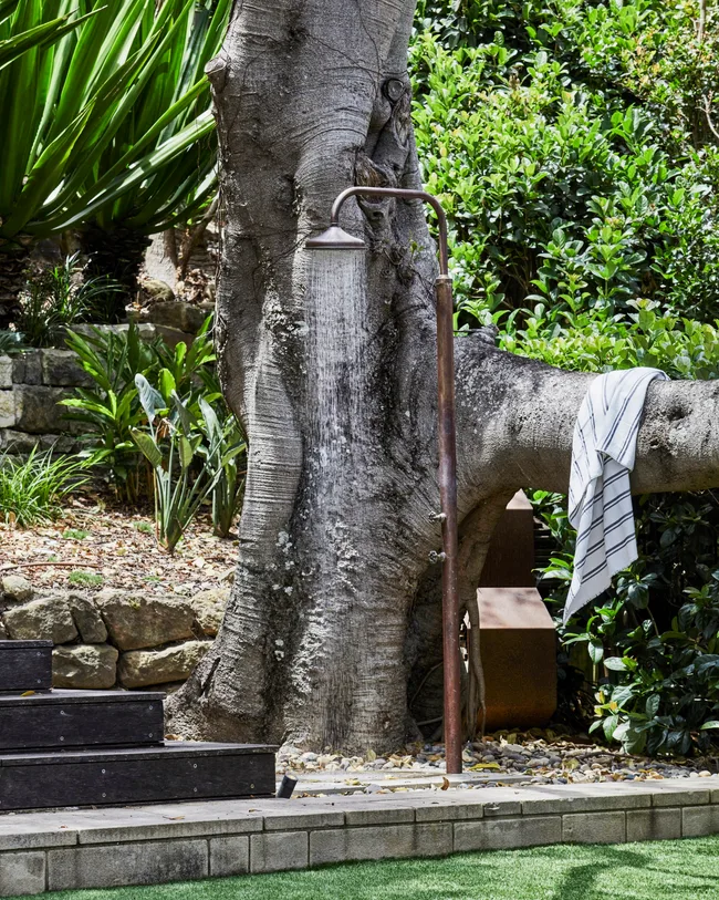 An outdoor shower beneath a Morton Bay Fig.