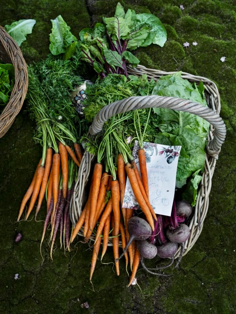 Easter Egg Hunt Basket Of Vegetables With Letter