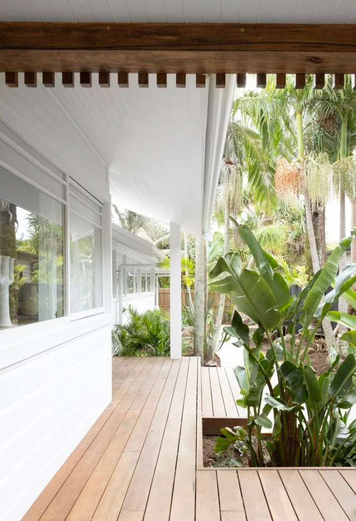 An outdoor deck surrounded by tropical plants.