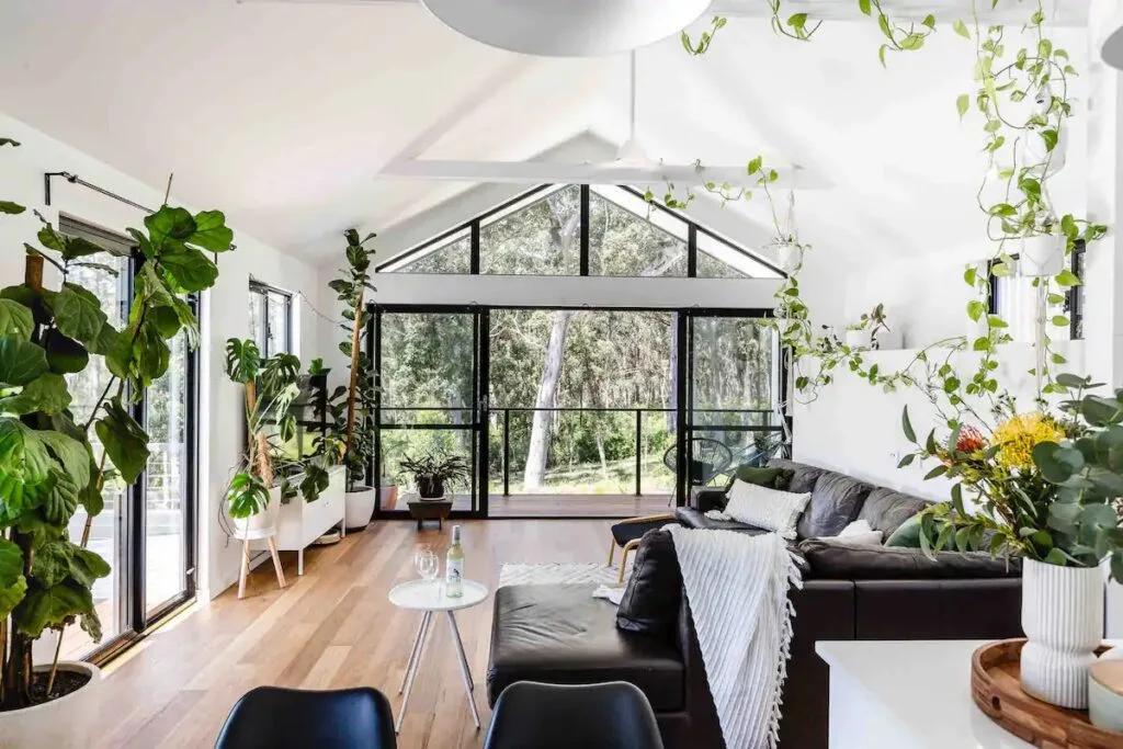 A bright, white living room with creeping vines and indoor plants.