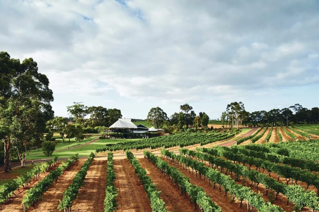 A vineyard and winery in Margaret River.