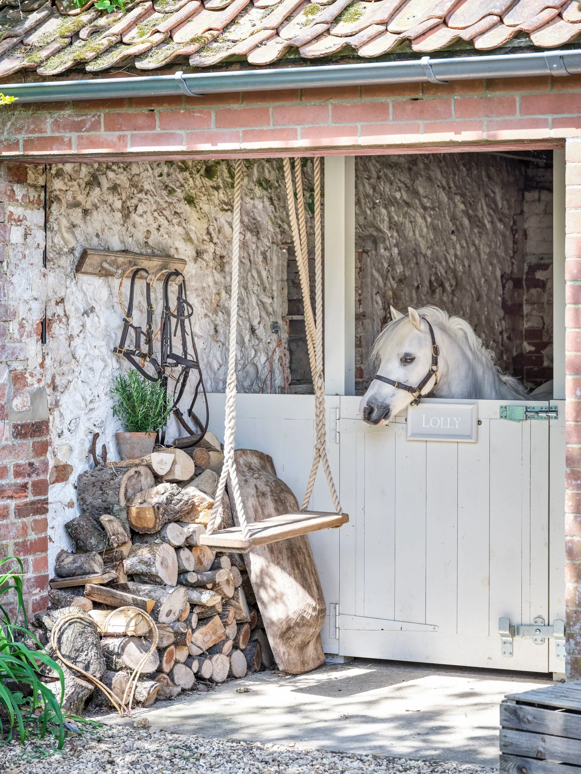 A white pony in a stable.