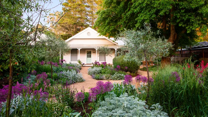 A blooming garden with a meandering path to a weatherboard cottage.