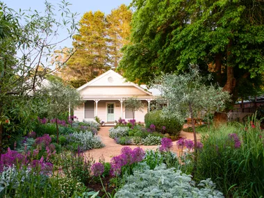 A blooming garden with a meandering path to a weatherboard cottage.