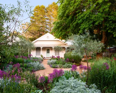 A blooming garden with a meandering path to a weatherboard cottage.