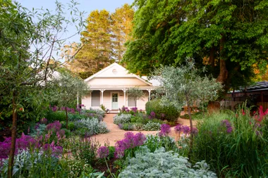 A blooming garden with a meandering path to a weatherboard cottage.