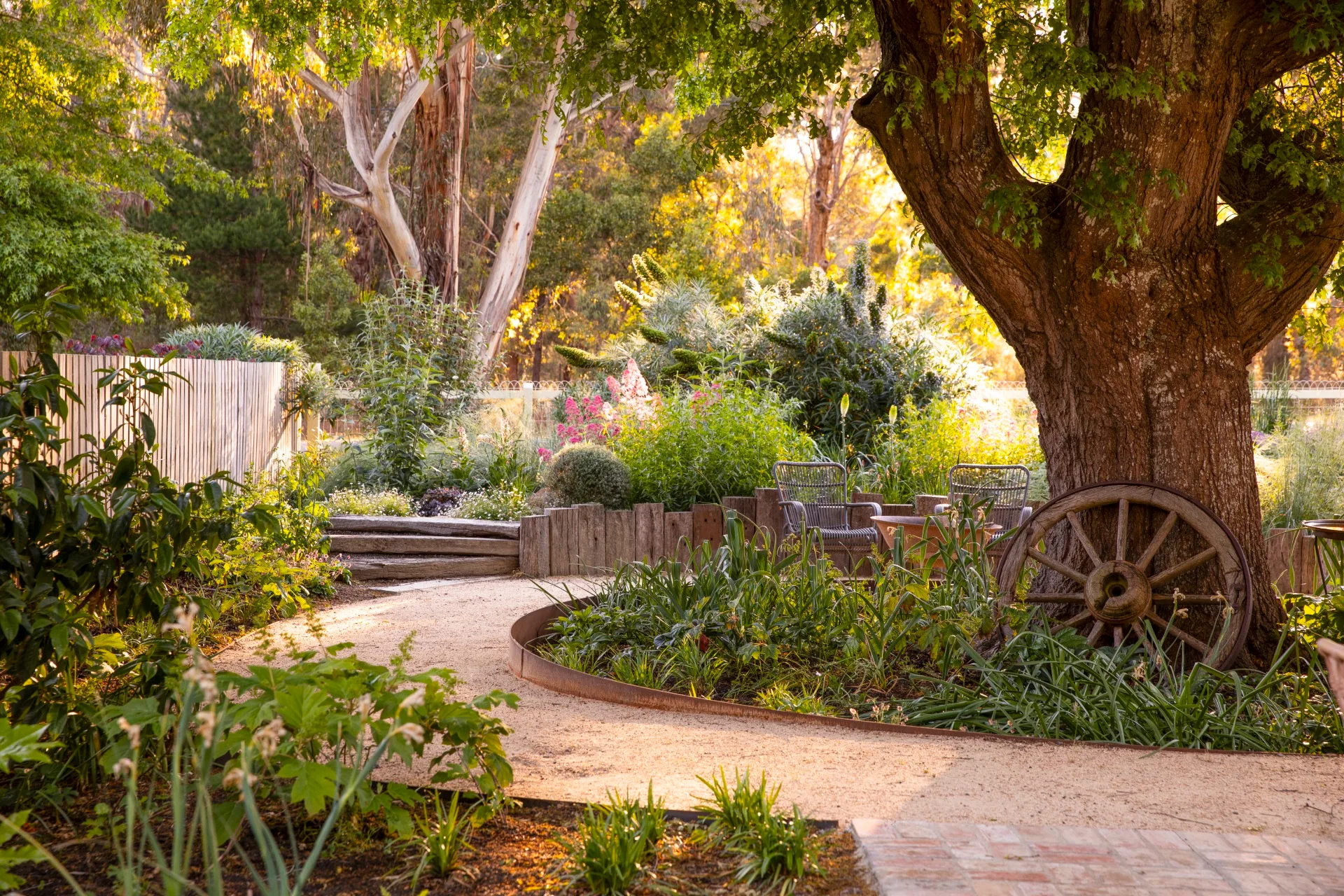 A garden path around an oak tree and cottage garden beds.