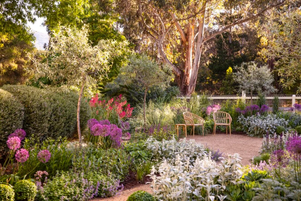 A summer courtyard surrounded by cottage garden flowers.