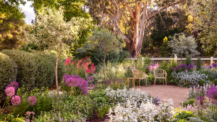 A summer courtyard surrounded by cottage garden flowers.