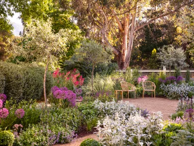 A summer courtyard surrounded by cottage garden flowers.