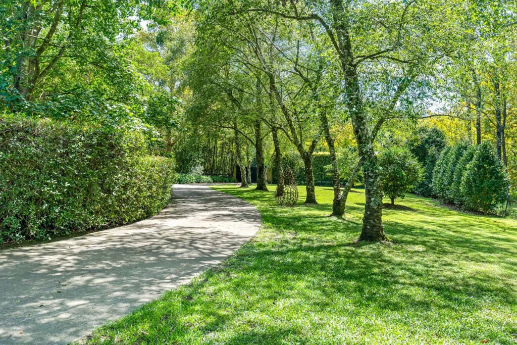 Driveway flanked by trees at a property owned by Charlie Albone and Juliet Love in Ourimbah.