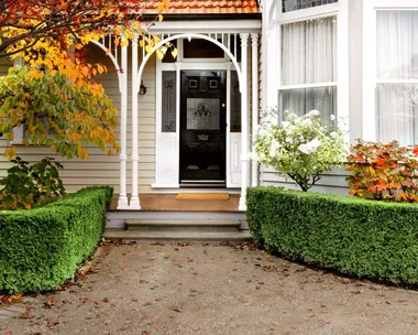 A heritage home exterior with decorative fretwork, leadlight windows and autumn trees.