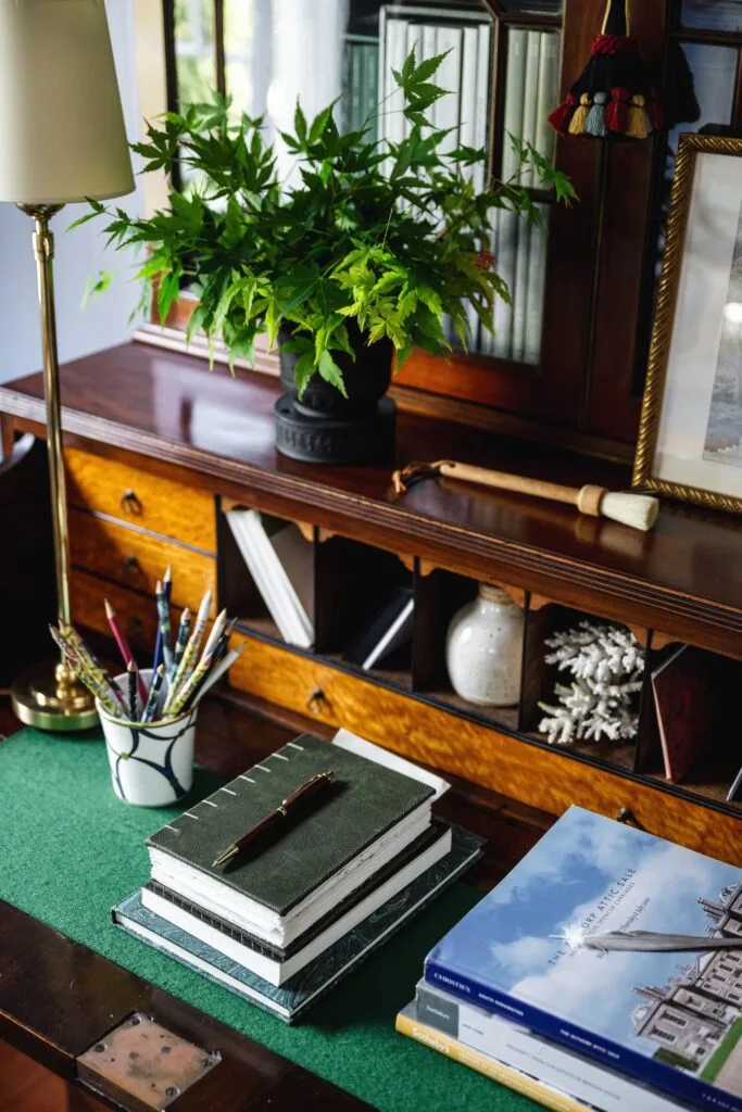 Books and a small plant sitting on a timber writing desk.