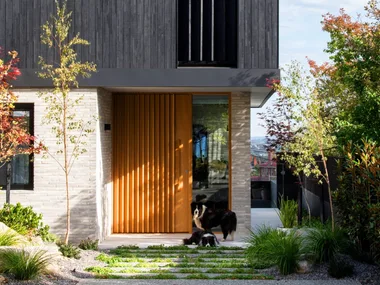 A modern minimalist house with stone and black cladding and two border collies beneath.