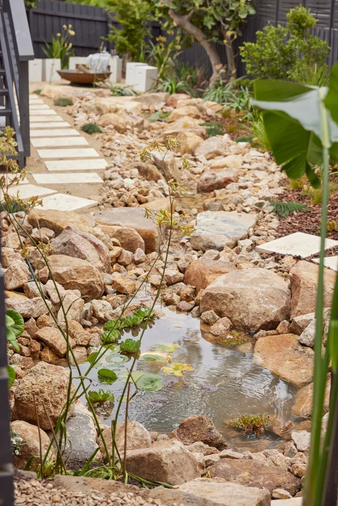 Taeler and Elle's Dream Home landscaping river