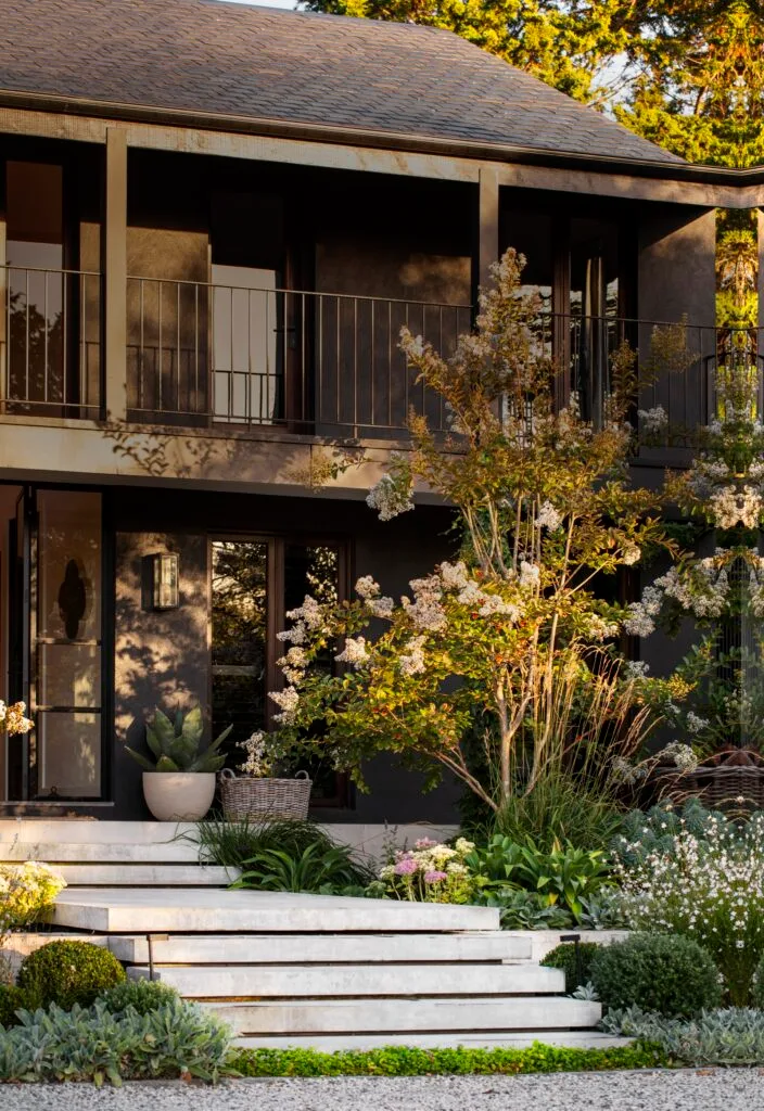 A modernist steel and timber home with beds of wildflowers.