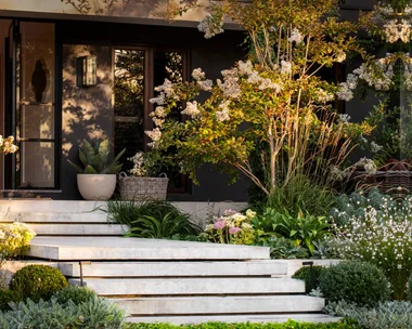 A modernist steel and timber home with beds of wildflowers.