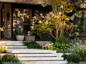A modernist steel and timber home with beds of wildflowers.