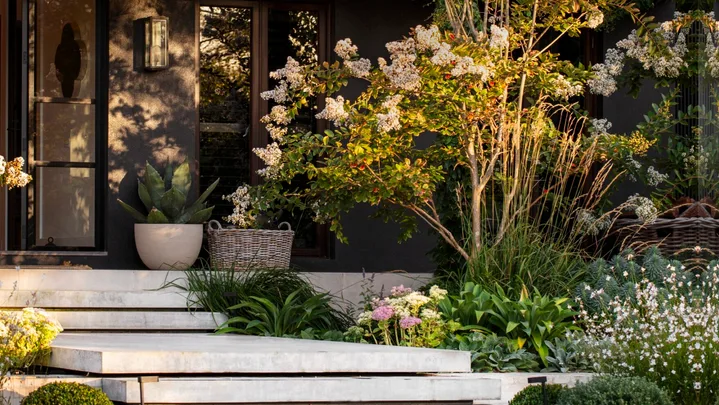 A modernist steel and timber home with beds of wildflowers.