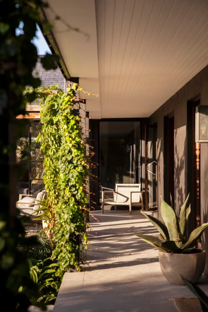 An outdoor patio of limestone pavers and support beams with Boston ivy.