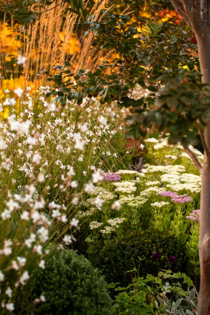 A sprawling mix of perennial flowers.