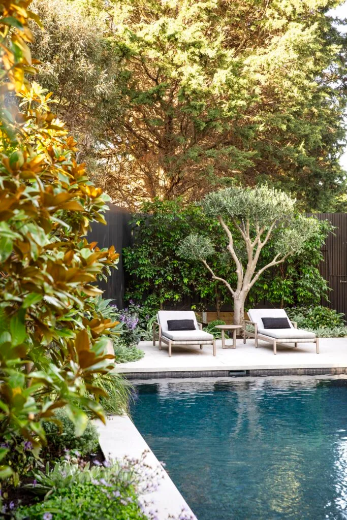 Magnolia trees surrounding a pool with white loungers.