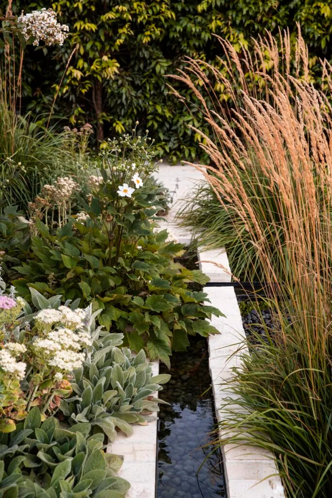 A water feature surrounded by lamb's ear and grasses.